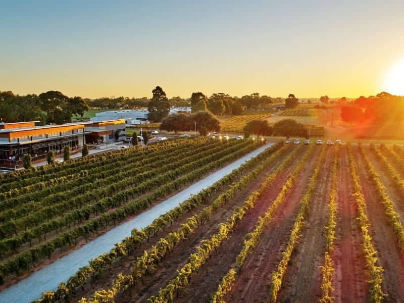 Swan Valley vineyards and winery